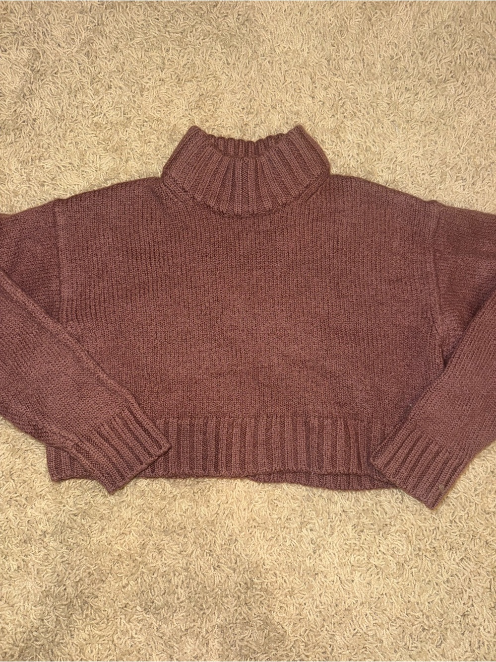Aritzia Cropped Turtleneck Sweater